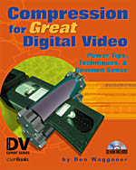 Compression for Great Digital Video